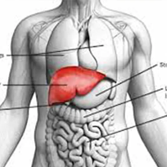 Liver Profile-2 Package class=